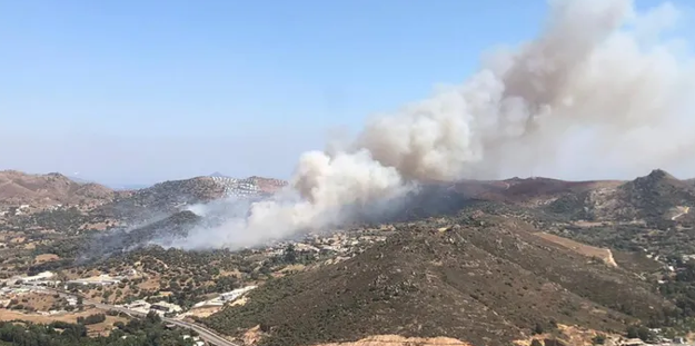 Aydın'ın Bozdoğan ilçesindeki orman yangınına müdahale sürüyor
