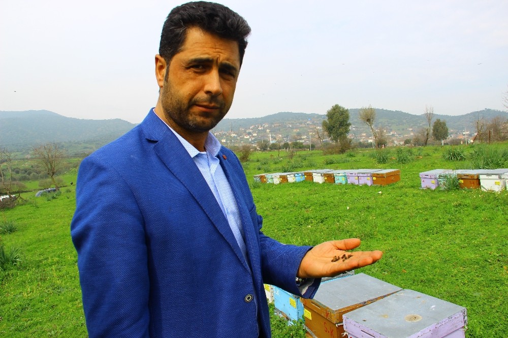 Aydınlı arıcıya ceza şoku 