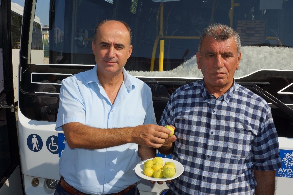Aydınlı şoförler incir yiyerek stresle başa çıkıyor 
