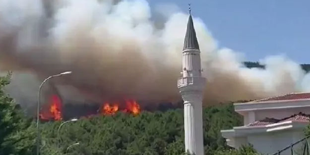 Aydos Ormanı’nda korkutan yangın!