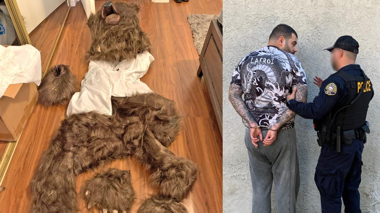 Ayı kılığına girip araçlara zarar veren 4 kişi yakalandı