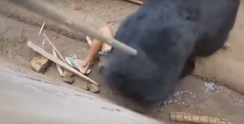 Ayı korkusu bunu yaptırdı! Çiftçiler harekete geçti