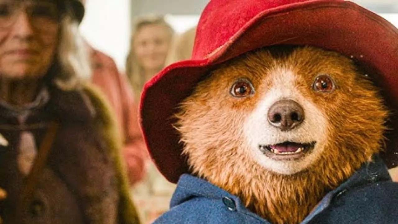 Ayı Paddington'a o ülkenin içişleri Bakanlığı pasaport verdi!