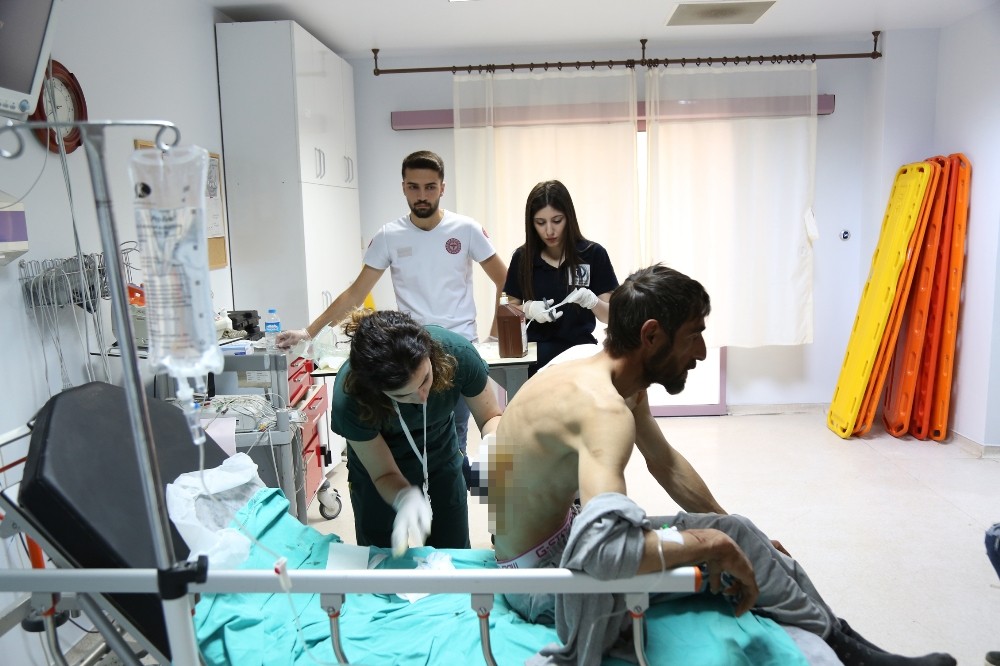 Ayı saldırısında yaralandı, helikopterle hastaneye kaldırıldı 