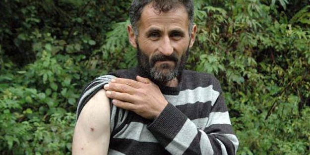 Ayı saldırısından yumruk atarak kurtuldu