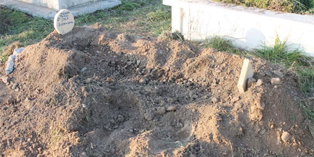 Ceseti yemek için mezara saldırdı!