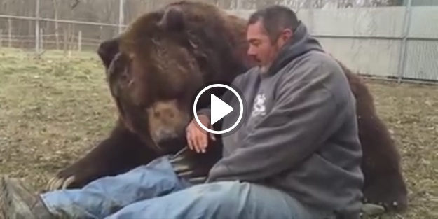 Ayıdan dost olur mu demeyin! İzleyin görün...