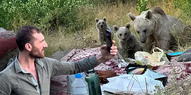 Ayıların saldırmadığını anlatan kampçıya ayı saldırdı! İşte o anlar