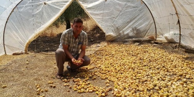 Aylığı 5 bin lira olan işe işçi bulamıyorlar