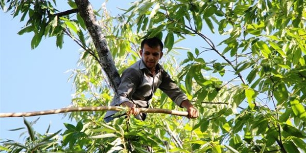 Aylık 9000 TL maaşla çalışacak işçi arıyorlar ama bulamıyorlar