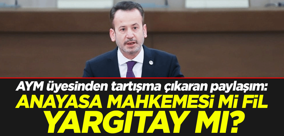 AYM üyesinden tartışma çıkaran paylaşım: Anayasa Mahkemesi mi fil, Yargıtay mı?