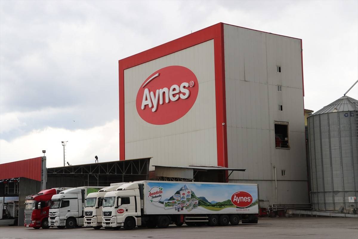 Aynes çalışan sayısını binin üzerine çıkardı