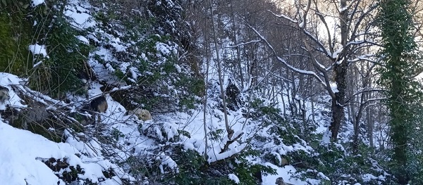 Aynı şehir iki farklı mevsim