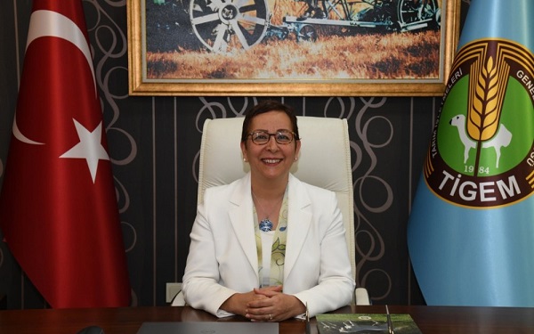 Ayşe Ayşin Işıkgece kimdir?