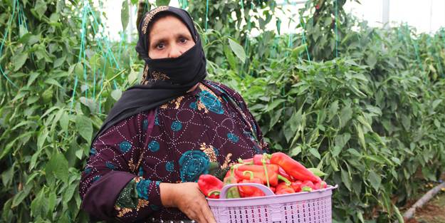 Ayşe hanımdan kadınlara istihdam olanağı