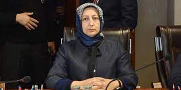 Aysel Demirel kimdir?