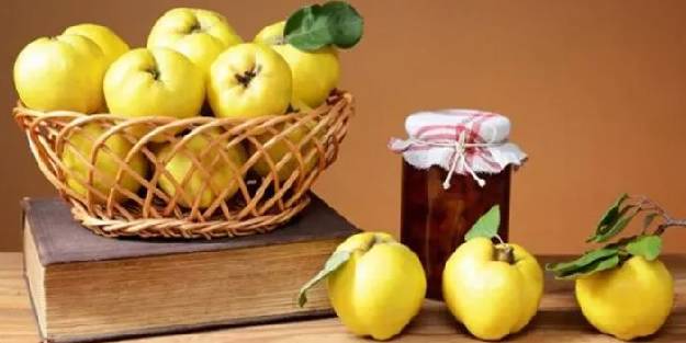 Ayva kilo aldırır mı?