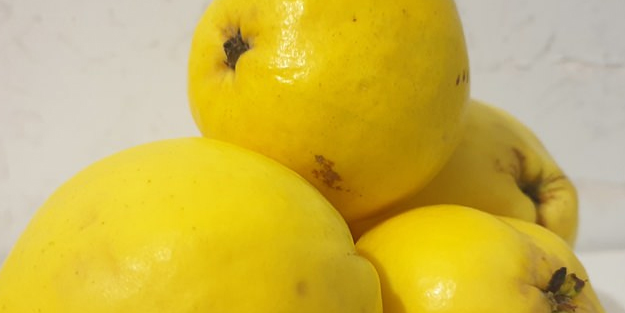 Ayva yaprağının inanılmaz faydaları! Kimse bilmiyor! İşte sakladığı sır böyle çıktı: Herkes denemeye başladı