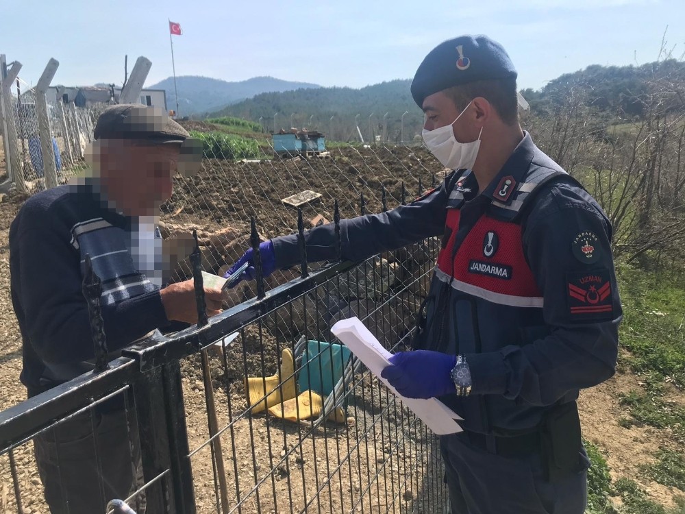 Ayvacık’ta 65 bin 541 kişinin talebi karşılandı 
