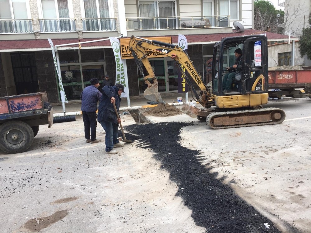 Ayvalık Belediyesi çevre düzenlemeleriyle çığır açıyor 