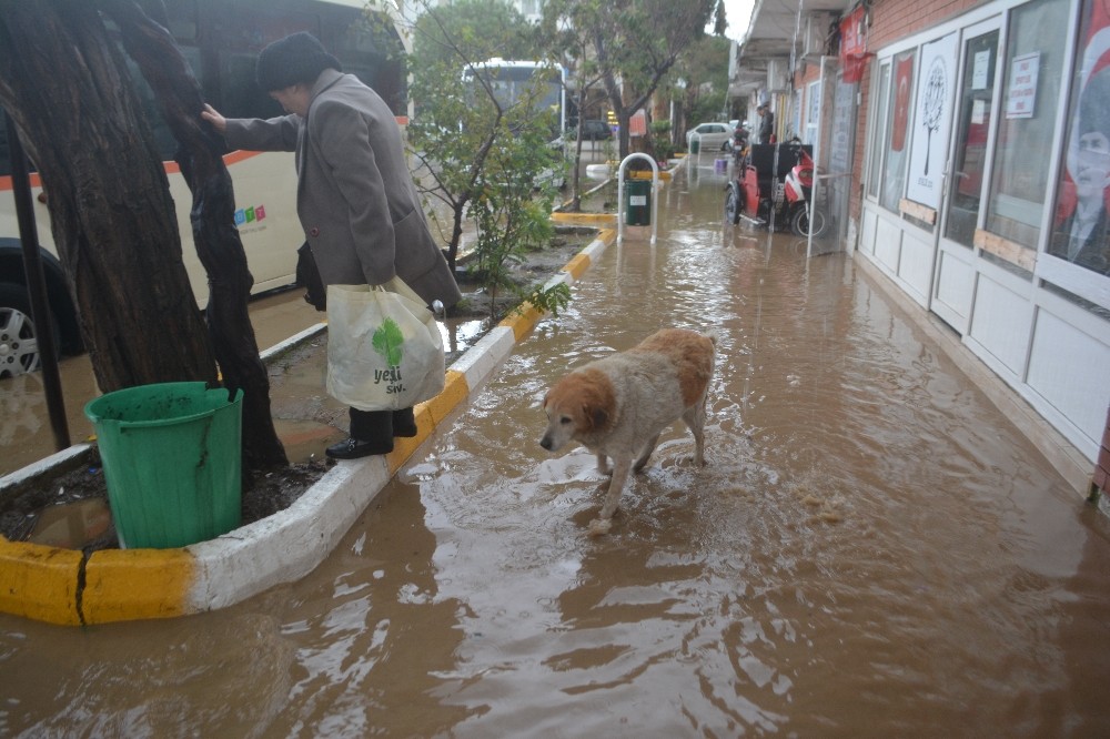 Ayvalık yine sular altında kaldı 