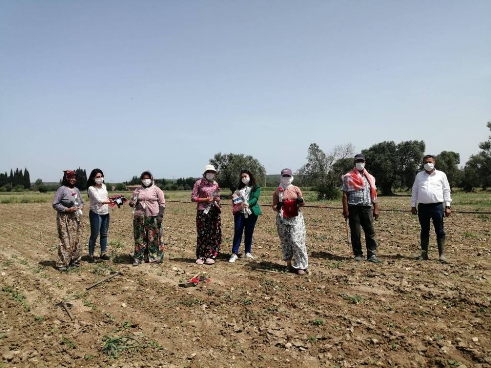 Ayvalık Ziraat Odası Başkanı Baysal, “Bu pandeminin bir başka kahramanları da Türk Çiftçisidir” 