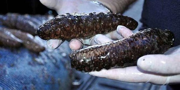 900 kilo ele geçirildi!