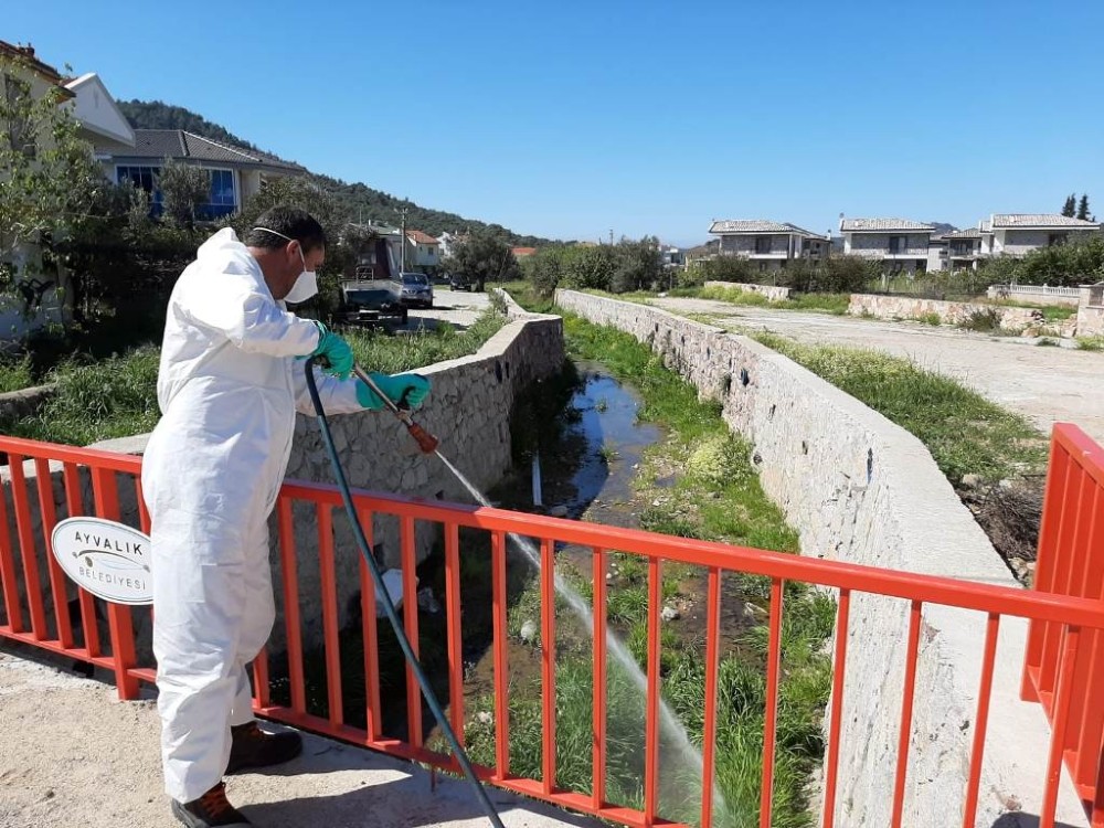 Ayvalık’ta “sivrisinek” ile amansız mücadele sürüyor 