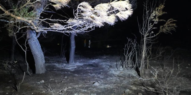 Ayvalık'taki orman yangını kontrol altına alındı