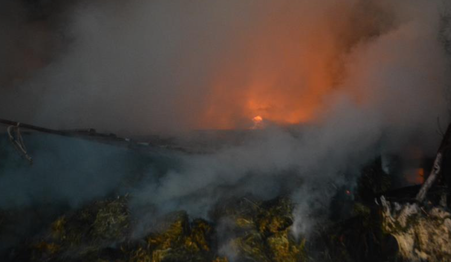 Ayvalık'taki yangın kontrol altında