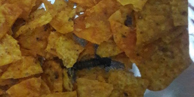 Az daha yiyiyordu...Cips poşetinden çıkan şok etti