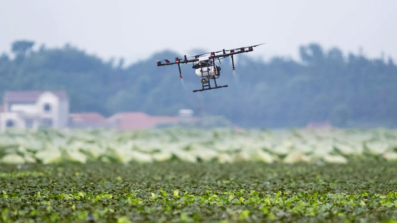 Azerbaycan'a İHA'larla uyuşturucu taşındığı ortaya çıktı!
