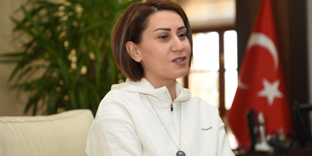 Azerin: Türk'ün bayrağını Karabağ'da astık