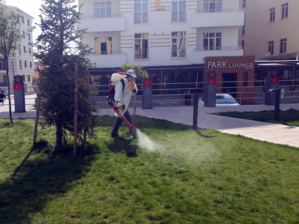 Aziziye’de haşerelere geçit yok 