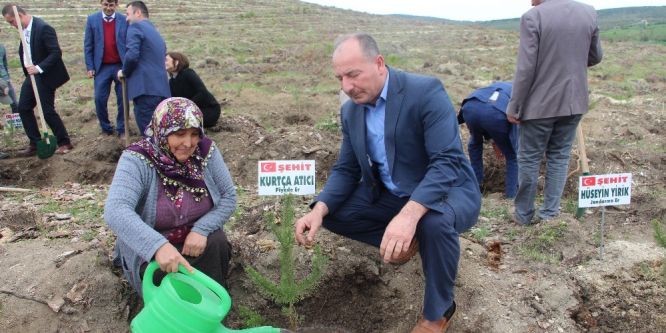 Vezirköprü şehitlerine hatıra ormanı