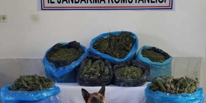 Denizli’de uyuşturucu operasyonu: 2 gözaltı