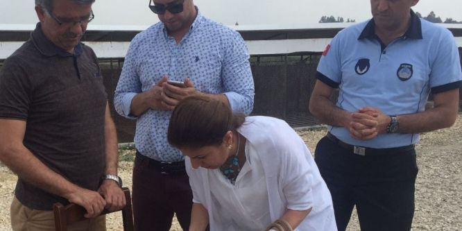 Tarsus’ta sahipli ve sahipsiz hayvanlara denetim