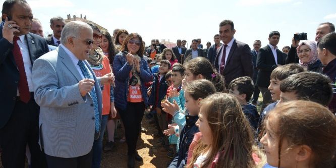 Gönül Dağı Hatıra Ormanı oluşturuldu