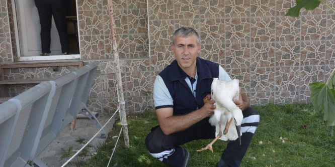 Yavru leyleğe itfaiye sahip çıktı