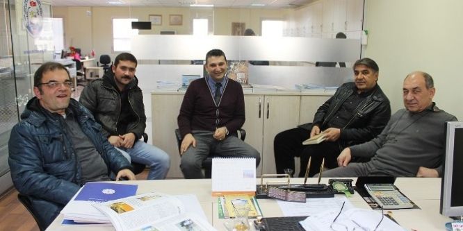 Zeytinyağı üreten il ve ilçelerde araştırma başlatıldı