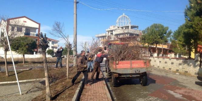 Kış önlemi alındı