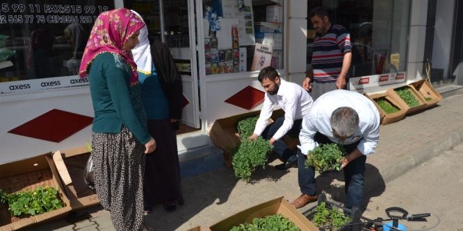 Organik tarım ürünleri vatandaşlardan yoğun talep görüyor