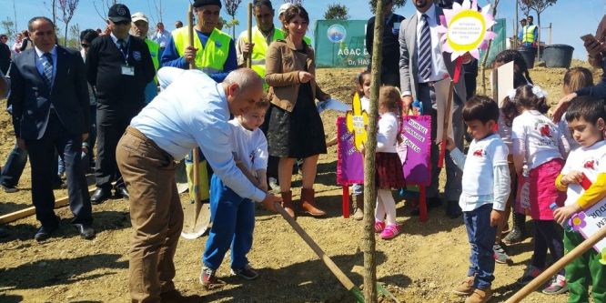 13 şehidin anısına 13 çınar ağacı