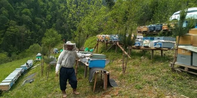 Arıcılar mevsimden umutlu