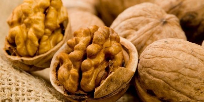 Dr. Ertek: Ceviz yaşlanmayla savaşıyor