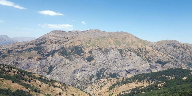 Bitlis’te ‘yeşil’ listedeki terörist öldürüldü