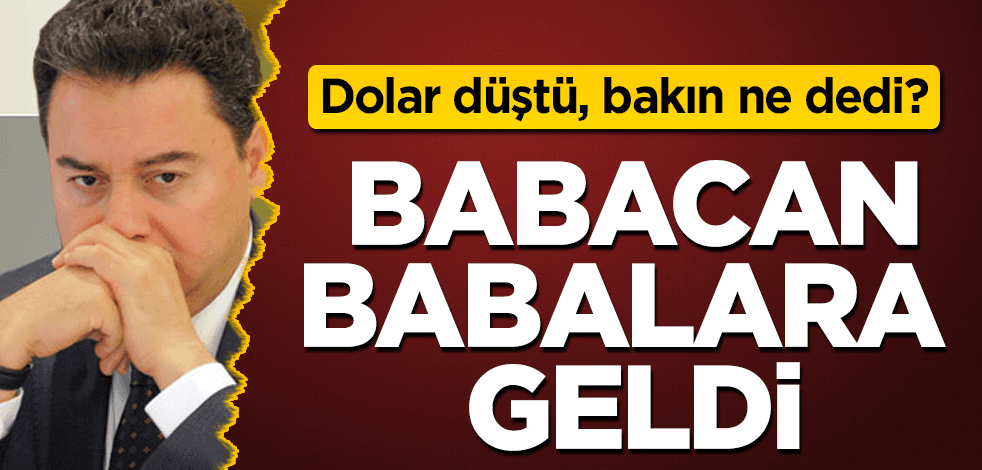 Babacan, babalara geldi! İşte dolar yorumu