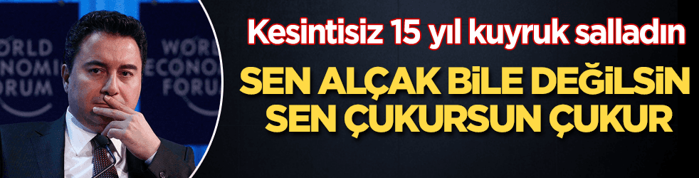 Babacan'a çok sert sözler: Sen alçak bile değilsin, çukursun