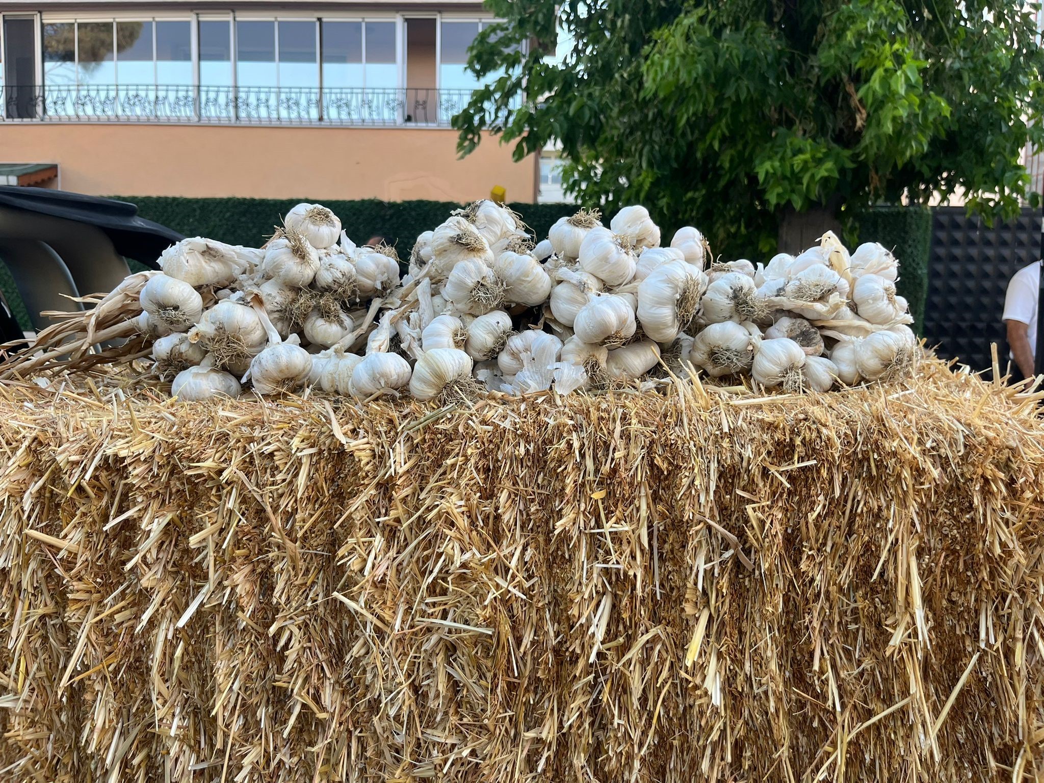 Babaeski’de 49. Tarım ve Kültür Festivali başladı