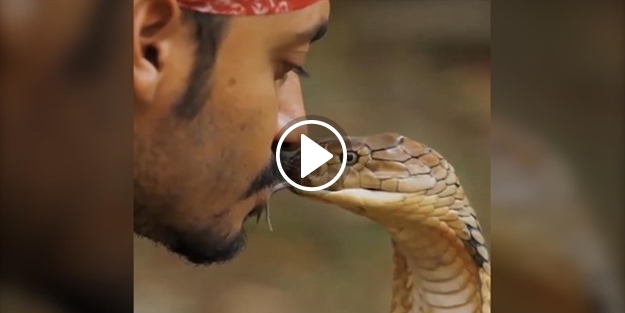 Babasını öldüren kobra yılanıyla şoke eden bir gösteri!